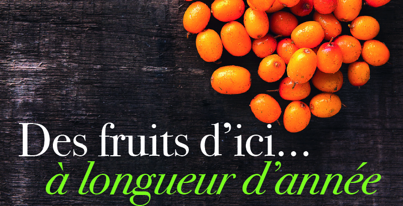 Jus d'Orange à base de concentré Tentation de Fruits - Fructa Partner
