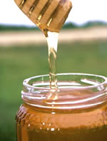 Cuillère à miel en bois naturel - Accessoires - L'île enSanté
